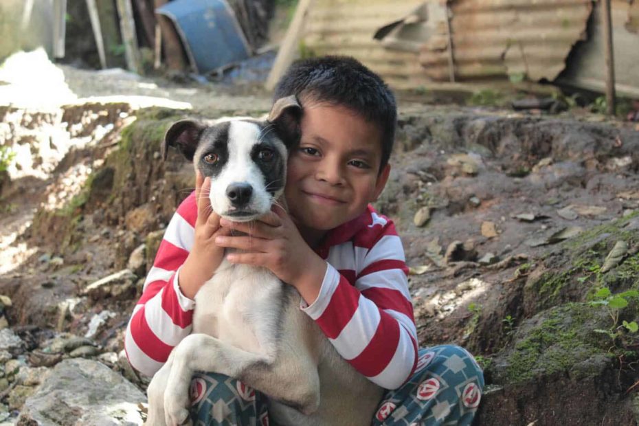 Elfego is happy because a neighbor saved his dogs, he was worried about them after he saw how the water covered his home.