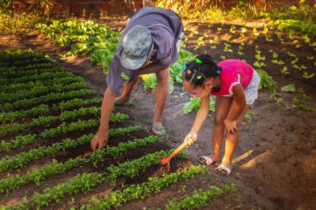 Paula is wearing a bright pink shirt. She is standing in the field and is working in her garden.