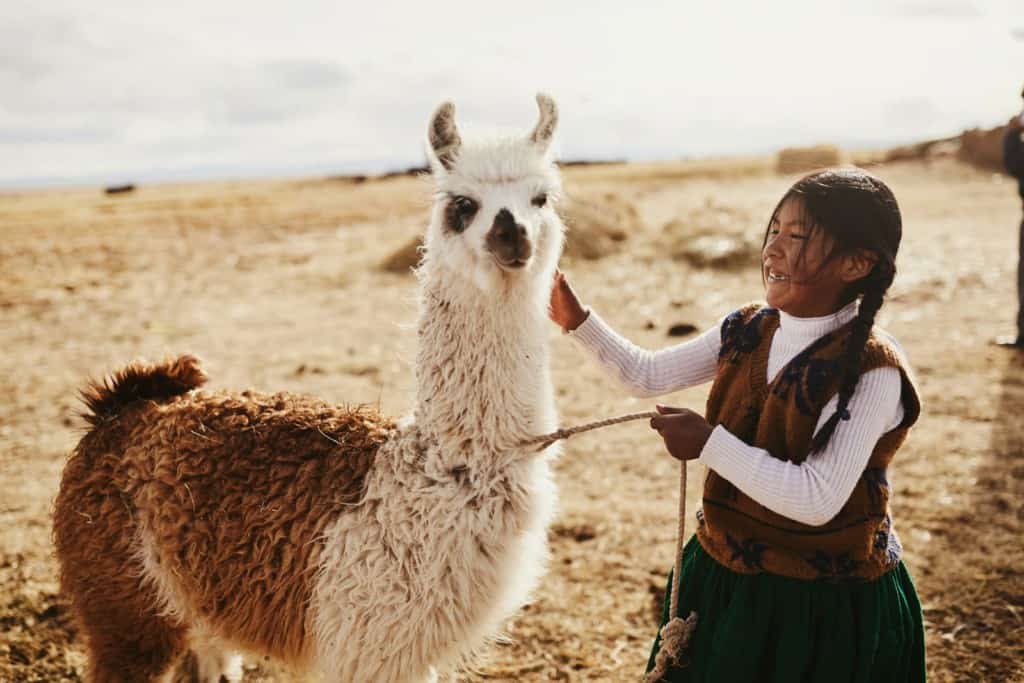 Rosa is wearing a green skirt and a gold and blue sweater. She is standing next to a white llama, smiling and petting the llama. 