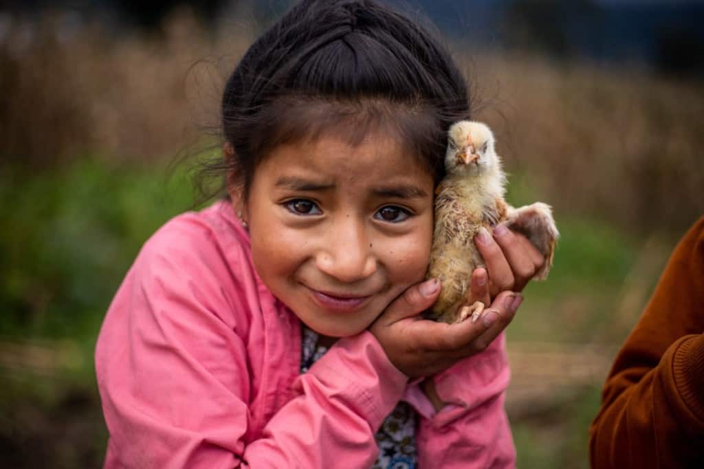 Heidi is wearing a pink jacket. She is standing outside and is holding a baby chick up beside her cheek.