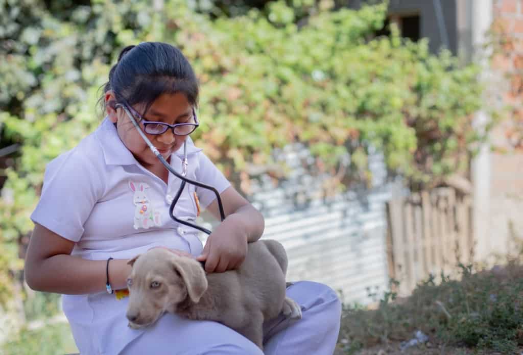 Camila is wearing a white veterinarian's costume and has a dog, puppy on her lap. She has a stethoscope in her ears and is holding it against the puppy.