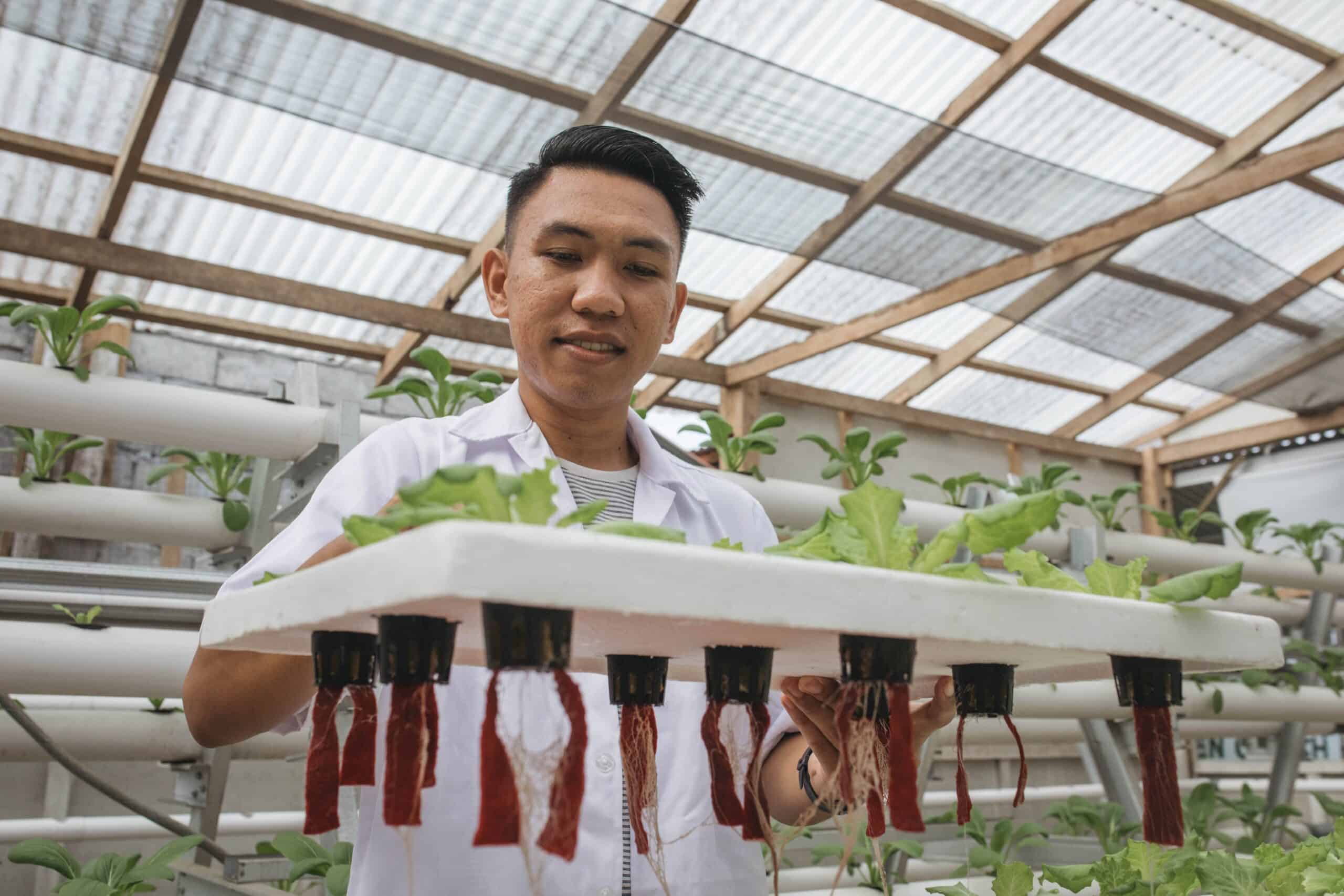 A young man in a white collared shirt stands in a greenhouse surrounded by hydroponic plants.