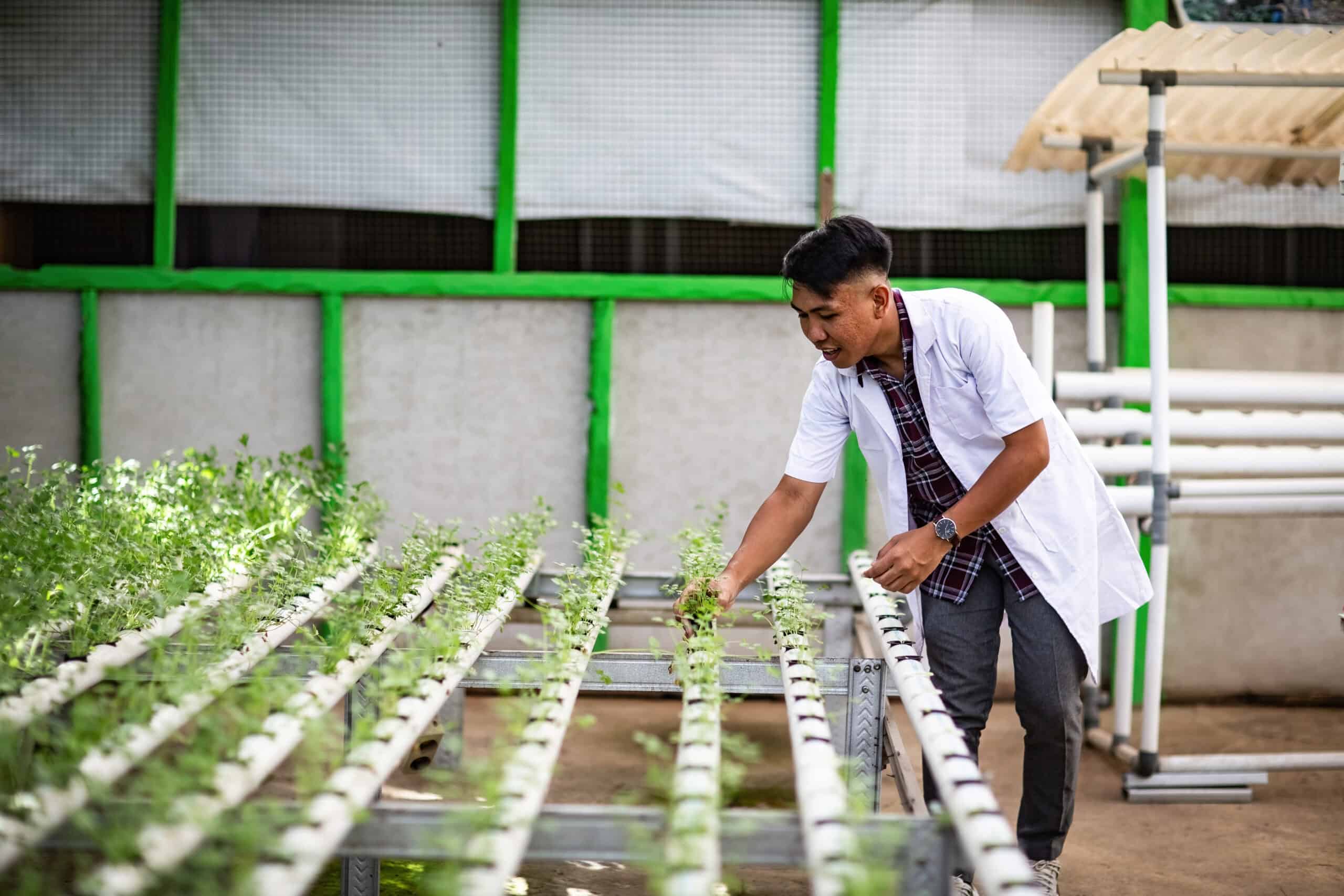 Frizky checks on the hydroponic garden he helped grow, symbolizing his journey of faith, innovation and teaching younger generations about environmental care.] 