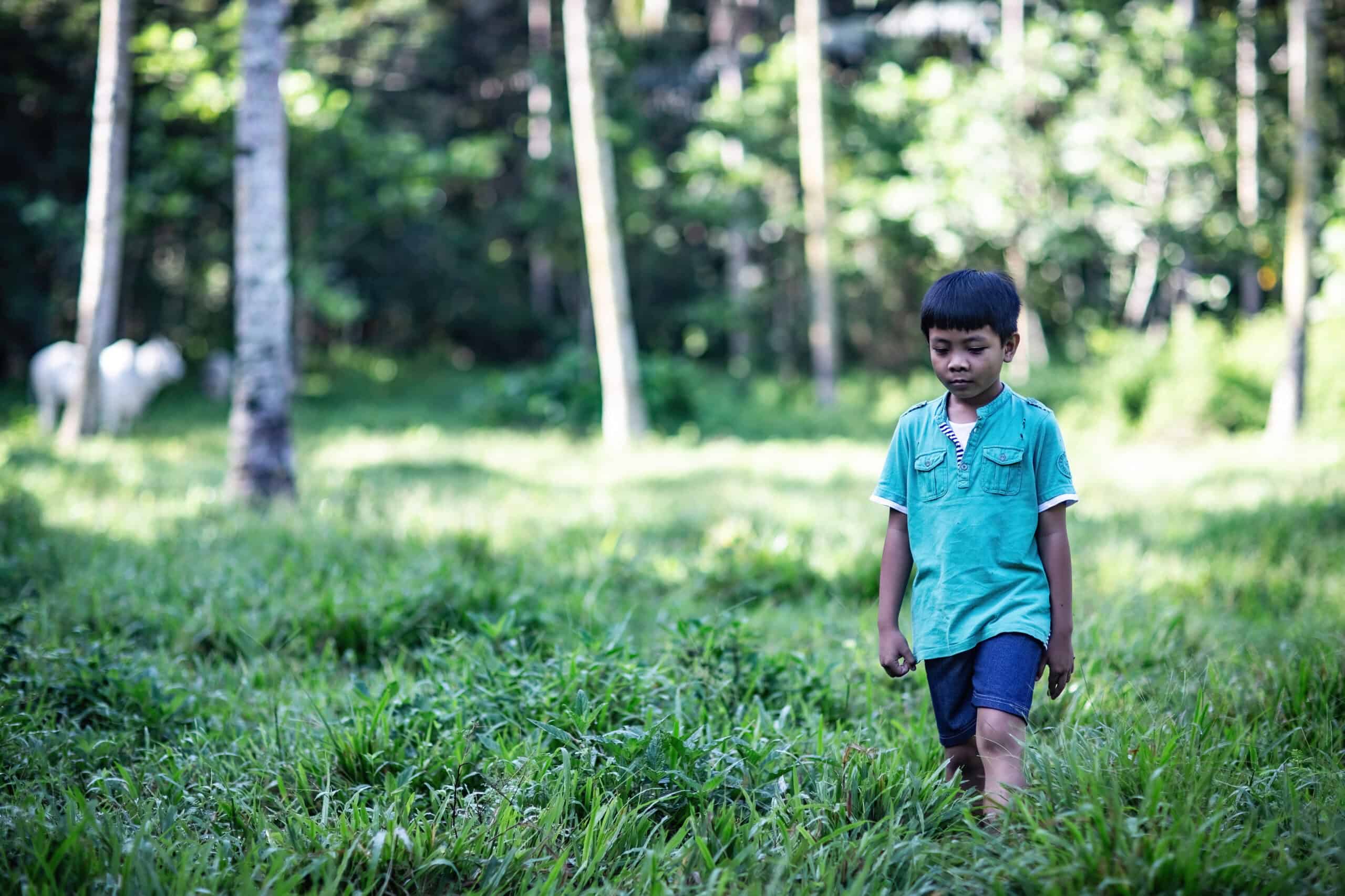 A young boy in a blue shirt walks through tall grass, representing Frizky’s early journey of growing up without his parents and facing hardships of poverty, seeking love and stability.